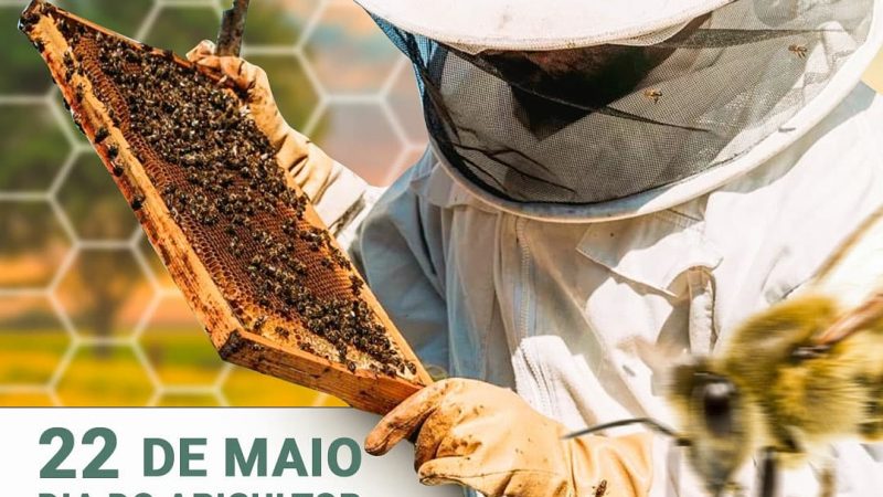 As abelhas são responsáveis por 1/3 da produção mundial dos alimentos e o apicultor é o profissional que contribui para o aumento de oferta e consumo no Brasil. Nossas doces homenagens a esses profissionais.