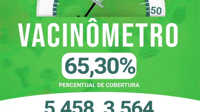 VACINÔMETRO ATUALIZADO DE ALTO ALEGRE DO MARANHÃO