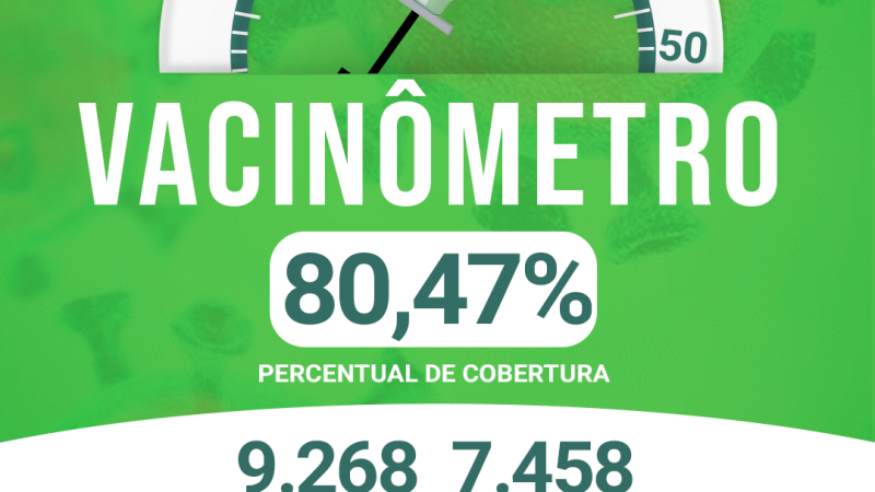 VACINÔMETRO ATUALIZADO ALTO ALEGRE DO MARANHÃO