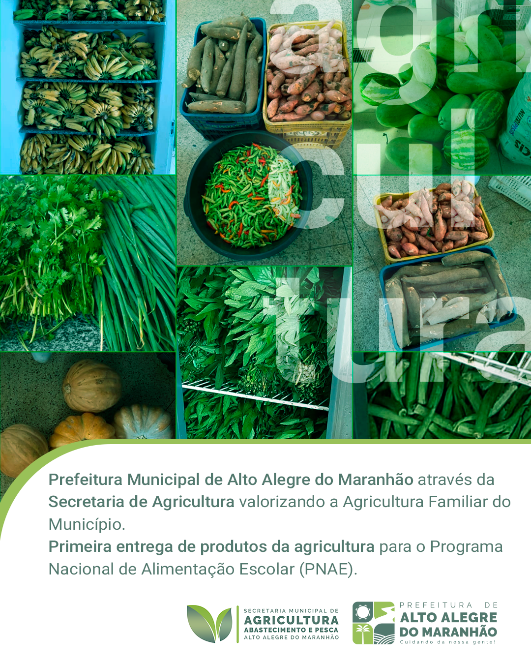 Incentivar, apoiar e valorizar o agricultor. A produção local da agricultura familiar já vai chegar na escolas de Alto Alegre do Maranhão.
