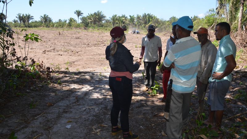 A Prefeitura Municipal de Alto Alegre do Maranhão através da Secretaria Municipal de Agricultura, Abastecimento e Pesca, está preparando o terreno no Povoado Bom Tempo para a instalação do kit de irrigação que irá abrange 1 hectare o projeto irá beneficiar cerca de 10 famílias. Está conquista só foi possível graças  a parceira do Governo do Estado e do Secretário da  SAGRIMA Sérgio Delmiro.